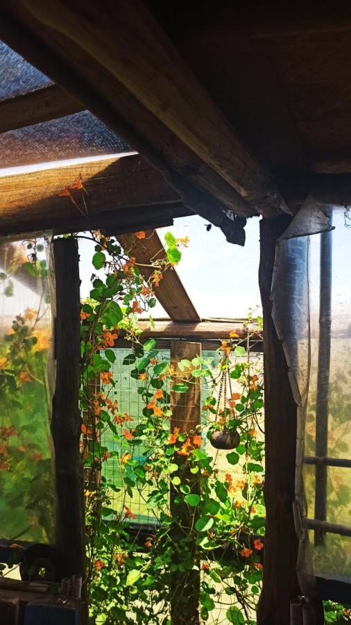 Bunker Hostel Cabo Polonio Exteriér fotografie